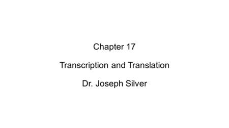 Chapter 17 Transcription and Translation Dr. Joseph Silver.