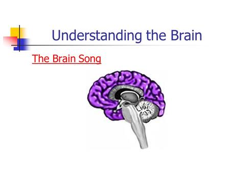 Understanding the Brain The Brain Song. The Brain Q & A T/F- People use only 10% of their brain. T/F- People with larger brains are more intelligence.