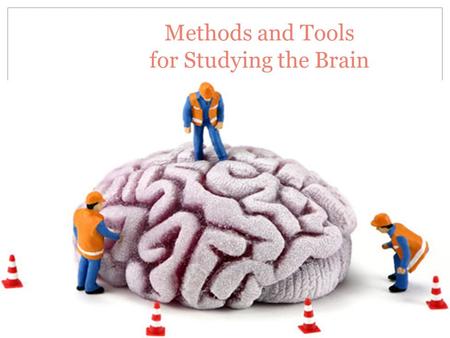 Methods and Tools for Studying the Brain. Early Methods Lobotomies and Shock Therapy …………