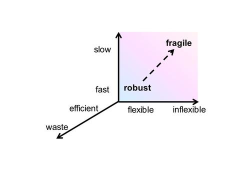 Slow flexible fast inflexible waste efficient fragile robust.