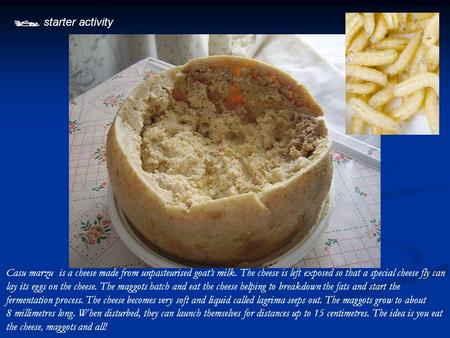  starter activity Casu marzu is a cheese made from unpasteurised goat’s milk. The cheese is left exposed so that a special cheese fly can lay its eggs.