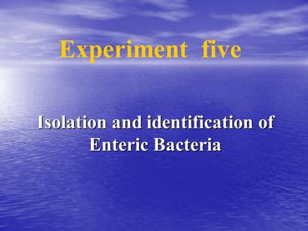 Isolation and identification of Enteric Bacteria