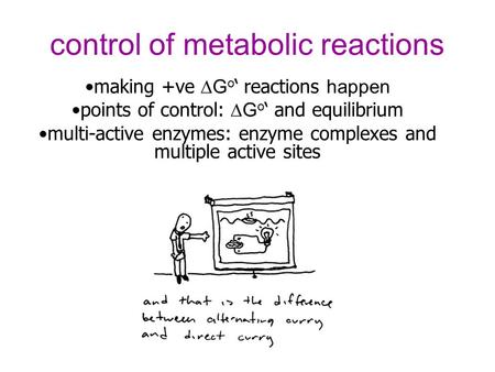 Control of metabolic reactions making +ve  G o ‘ reactions happen points of control:  G o ‘ and equilibrium multi-active enzymes: enzyme complexes and.