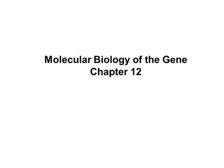 Molecular Biology of the Gene Chapter 12