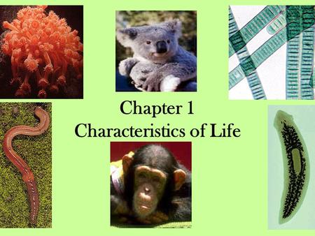 Chapter 1 Characteristics of Life. I. What is Biology? 1. The scientific study of life.