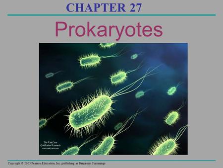 Copyright © 2005 Pearson Education, Inc. publishing as Benjamin Cummings CHAPTER 27 Prokaryotes.
