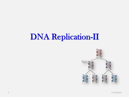 DNA Replication-II 17/10/20151. Overview I. General Features of Replication Semi-Conservative Starts at Origin Bidirectional Semi-Discontinuous II. Identifying.
