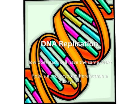 DNA Replication How does each cell have the same DNA? How is a prokaryote different than a eukaryote?