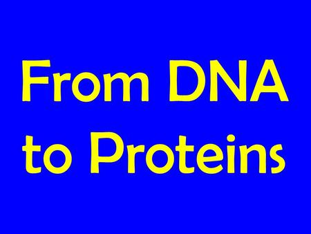 From DNA to Proteins. RNAPROTEINS transcriptiontranslation in-text, p. 201 DNA Proteins are coded for by Genes- long stretches of DNA that code for.