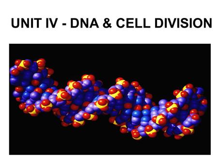 UNIT IV - DNA & CELL DIVISION. I. INTRODUCTION TO DNA ________________ – All of an organism’s DNA; must be copied prior to cell division __________________.