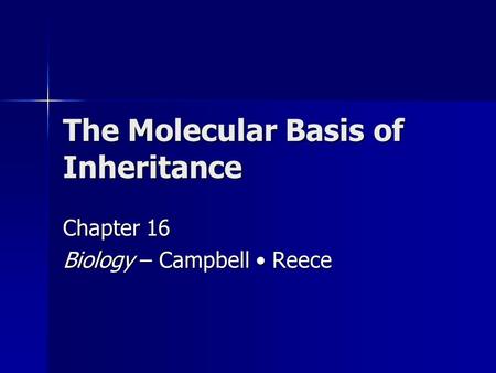 The Molecular Basis of Inheritance Chapter 16 Biology – Campbell Reece.
