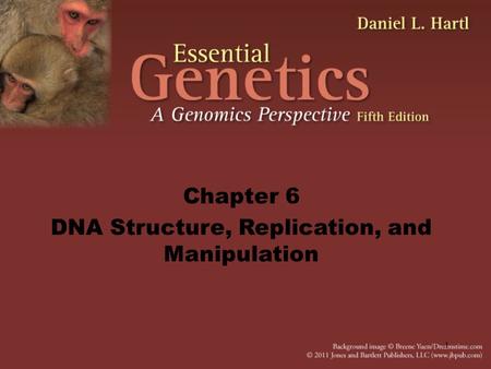 DNA Structure, Replication, and Manipulation