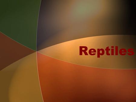Reptiles. A short video about reptiles Al Listen for characteristics of reptiles. Be ready to share.