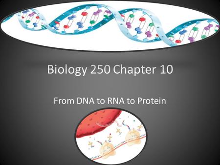 Biology 250Chapter 10 From DNA to RNA to Protein.