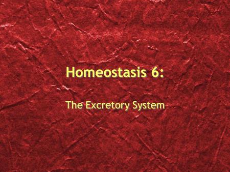 Homeostasis 6: The Excretory System The Excretory System Overview Excretion is the process of separating wastes from body fluids, then eliminating the.