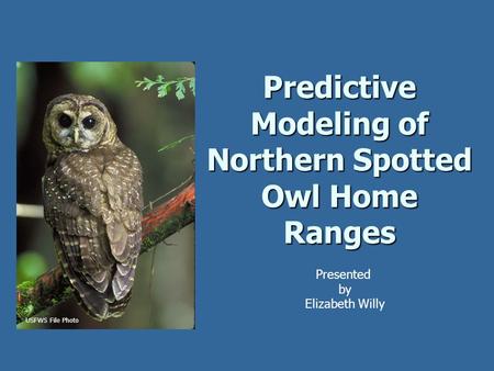Predictive Modeling of Northern Spotted Owl Home Ranges Presented by Elizabeth Willy USFWS File Photo.