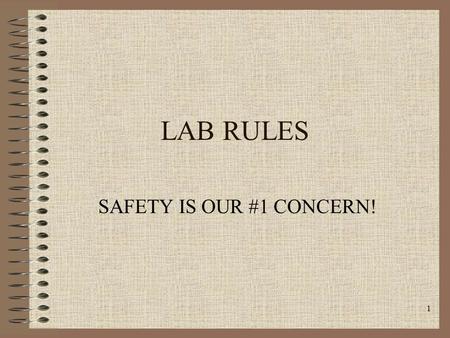 1 LAB RULES SAFETY IS OUR #1 CONCERN!. 2 RULE #1 Read lab procedures in advance to become aware of possible dangers.