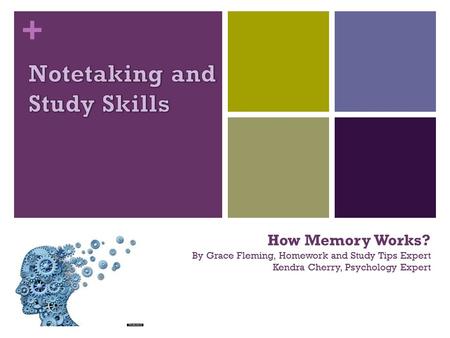 + How Memory Works? By Grace Fleming, Homework and Study Tips Expert Kendra Cherry, Psychology Expert.