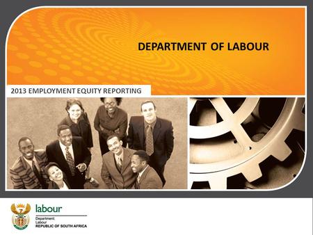 DEPARTMENT OF LABOUR 2013 EMPLOYMENT EQUITY REPORTING.