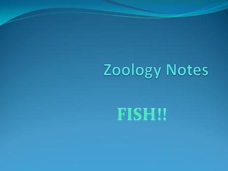 Our first focus…FISH In your own words, describe what makes a fish a fish.