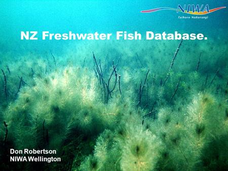 Don Robertson NIWA Wellington NZ Freshwater Fish Database.
