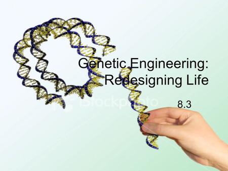 Genetic Engineering: Redesigning Life