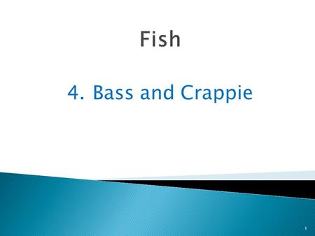 4.Bass and Crappie 1. Bass are a group of fish that have long bodies with many bones 2 Some bass live in the ocean, and some live in freshwater lakes.