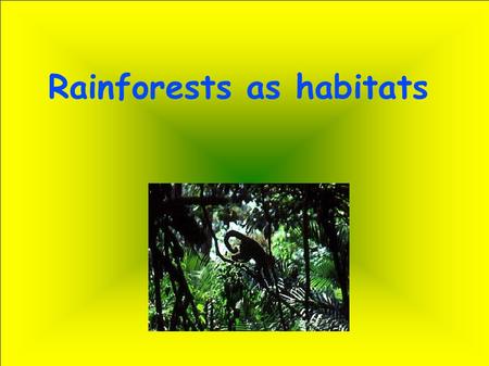 Rainforests as habitats