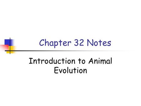 Chapter 32 Notes Introduction to Animal Evolution.