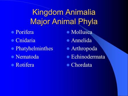 Kingdom Animalia Major Animal Phyla Porifera Cnidaria Phatyhelminthes Nematoda Rotifera Mollusca Annelida Arthropoda Echinodermata Chordata.
