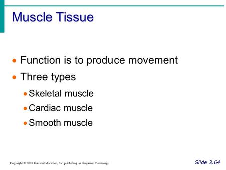 Muscle Tissue Slide 3.64 Copyright © 2003 Pearson Education, Inc. publishing as Benjamin Cummings  Function is to produce movement  Three types  Skeletal.