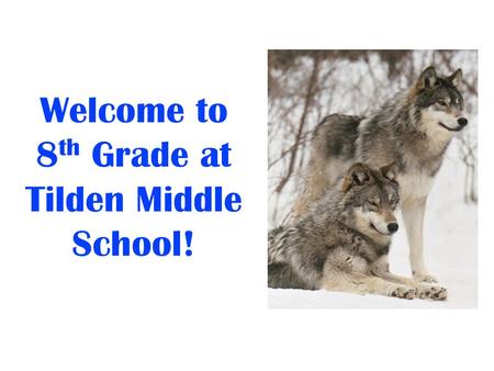 Welcome to 8 th Grade at Tilden Middle School!. We Are Here To Support You! Irina LaGrange, Principal Jim Alessi, Counselor Hope Schmidt, Team Leader.