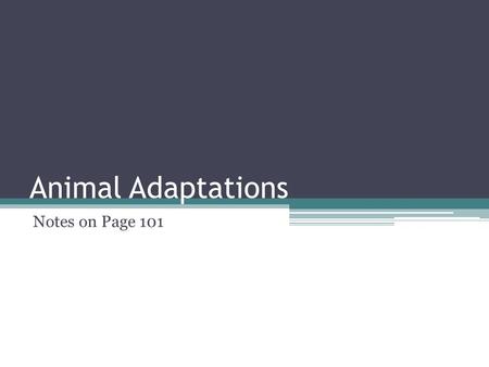 Animal Adaptations Notes on Page 101. Review Adaptation: a characteristic that helps an organism survive in its environment Behavioral: An activity or.