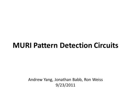 MURI Pattern Detection Circuits
