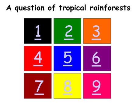 123 45 6 789 A question of tropical rainforests. Back.