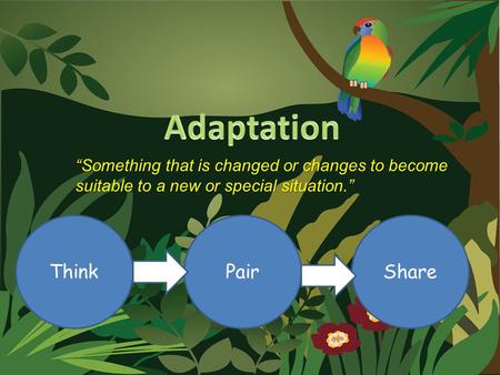 “Something that is changed or changes to become suitable to a new or special situation.” ThinkSharePair.