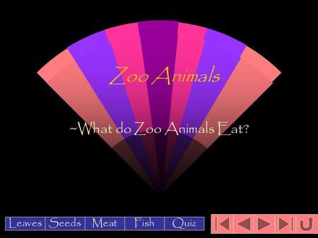 Zoo Animals ~What do Zoo Animals Eat? Leaves Meat Seeds FishQuiz.