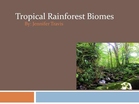 By: Jennifer Travis Tropical Rainforest Biomes. Where are the rainforests found?  Central America in the Amazon river basin.  Africa - Zaire basin,