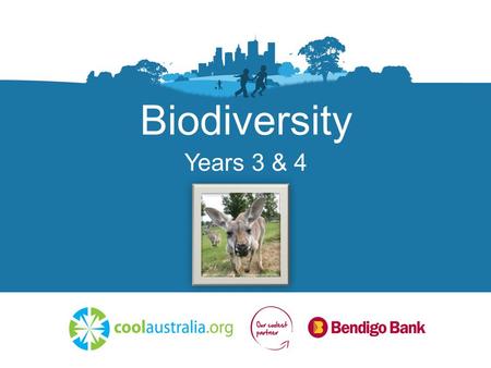 Biodiversity Years 3 & 4. What is biodiversity? ‘Bio’ refers to biology. Which means the study of living things.