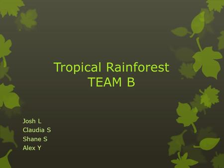 Tropical Rainforest TEAM B Josh L Claudia S Shane S Alex Y.