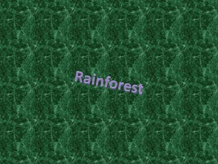 Rainforests are around the equator. The rainforest we chose is in South America, it is a tropical biome. Rainforests are always hot and rainy. There.