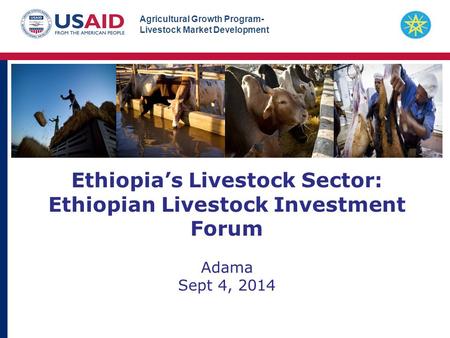 Agricultural Growth Program- Livestock Market Development Ethiopia’s Livestock Sector: Ethiopian Livestock Investment Forum Adama Sept 4, 2014.