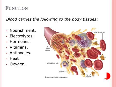 F UNCTION Blood carries the following to the body tissues: Nourishment. Electrolytes. Hormones. Vitamins. Antibodies. Heat Oxygen.