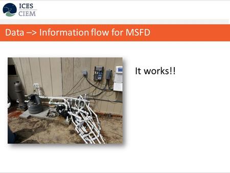 Professionalising knowledge and data products It works!! Data –> Information flow for MSFD.