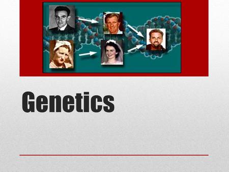 Genetics. Study of heredity and the variation of inherited characteristics Heredity- the biological process where parents pass on certain genes to their.