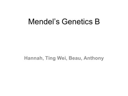 Mendel’s Genetics B Hannah, Ting Wei, Beau, Anthony.