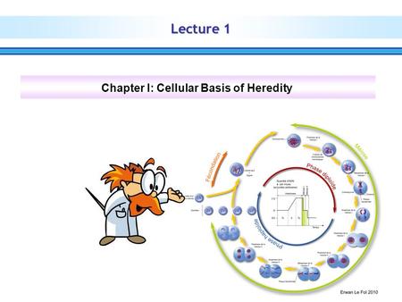 Chapter I: Cellular Basis of Heredity
