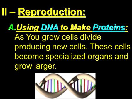 II – Reproduction: A.U sing DNA to Make Proteins: As You grow cells divide producing new cells. These cells become specialized organs and grow larger.