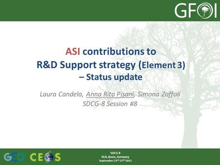 ASI contributions to R&D Support strategy (Element 3) – Status update