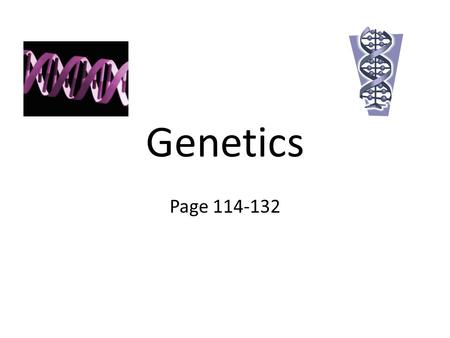 Genetics Page 114-132.